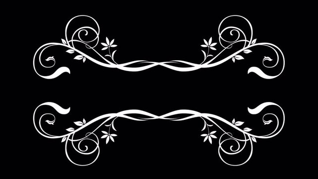 Elegant White Floral Frame Design on Black Background for Text Overlay.