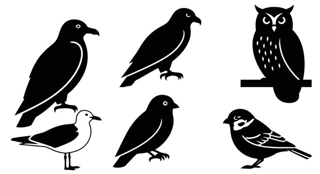 Collection of various bird silhouettes, vector icons of different avian species on white background