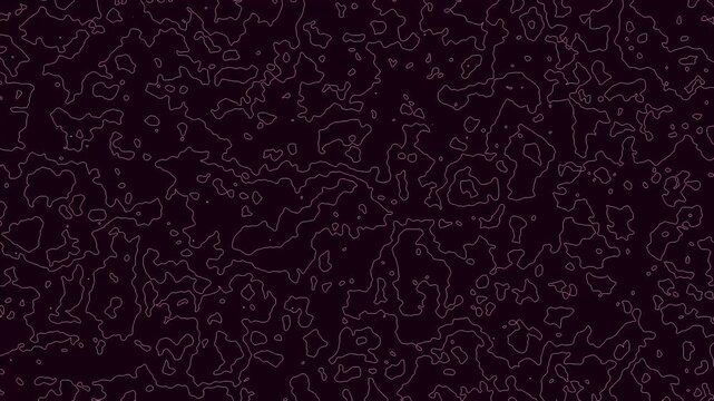 Digital topo map style lines flow and evolve over a textured dark surface looping animation