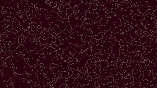 Dynamic abstract digital topographic map animation with flowing white lines on a dark background