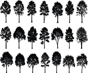 Fototapeta premium A collection of twenty one different tree silhouettes against a white background.