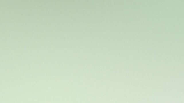 Empty Green: A serene and understated solid green backdrop, offering simplicity and elegance.