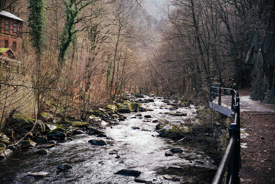 Fluss Bode im Fr&uuml;hling zwischen kahlen B&auml;umen
