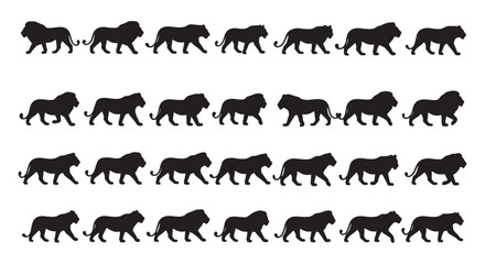Walking Lion Silhouette Set on White Background – Black Big Cat Side View Poses Collection © Sapumal