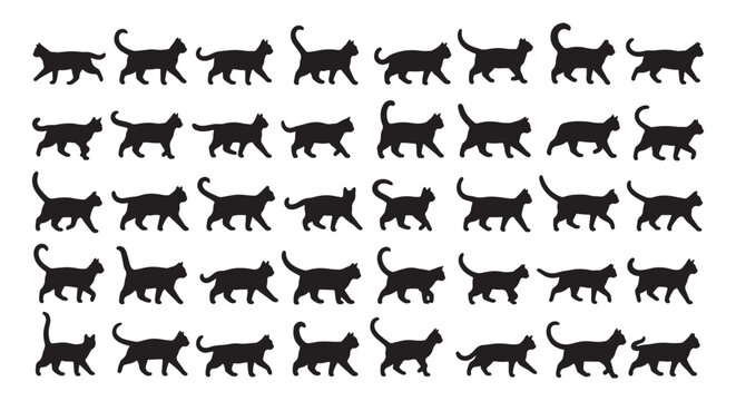 Walking cat silhouette animation sequence. Vector sprite sheet of moving animal frames isolated on white.