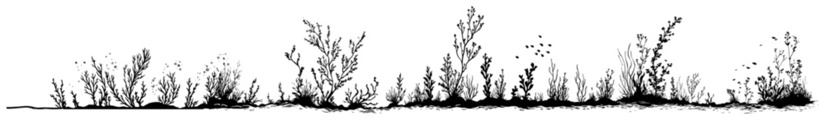 Dense wild vegetation border with tall weeds and meadow plants in vintage sketch style © AdrianGebert