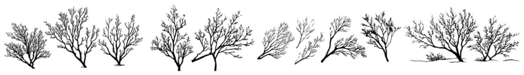 Obraz premium Set of bare winter trees and leafless branches silhouettes