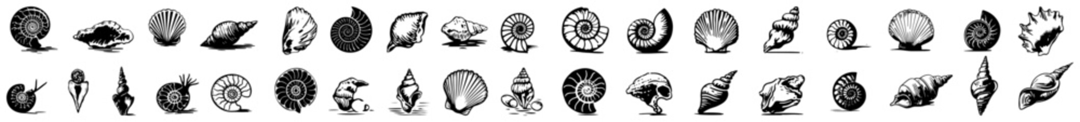 Large collection of vintage sea shells and marine snail illustrations © AdrianGebert
