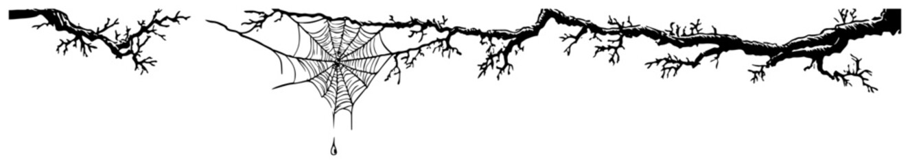 Corner spider web hanging from old cracked branch in halloween style © AdrianGebert