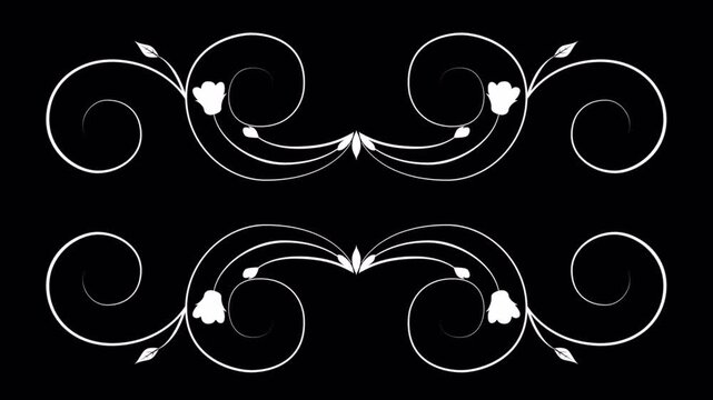 Elegant White Floral Swirls on Black Background Decorative Design Element.
