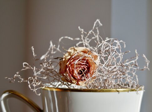 getrocknete Rosenbl&uuml;te und Silberzweig Shabby-Chic-Stil 