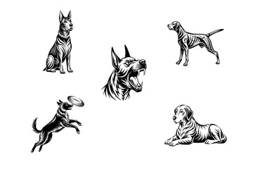 Illustrations of different dog breeds and poses
