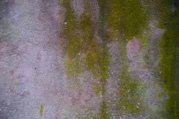 Gray concrete wall texture. Light green and pastel colors. Scratches, cracks and colored spots