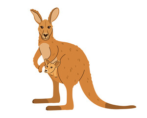 Kangaroo mother with a cute baby joey in its pouch isolated on white background. Flat style illustration of an Australian marsupial family, perfect for educational and nature-themed designs.