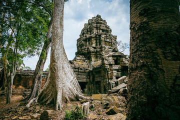 Obraz premium Trees and Temple, Angkor Wat, Cambodia