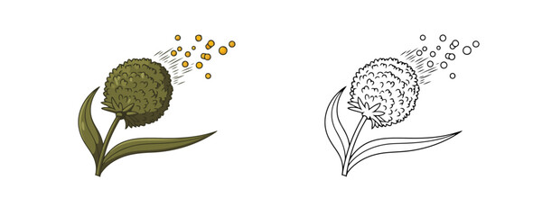 Ragweed plant head releasing pollen clouds in colored and black and white line art style representing weed allergy and seasonal hay fever triggers on white background