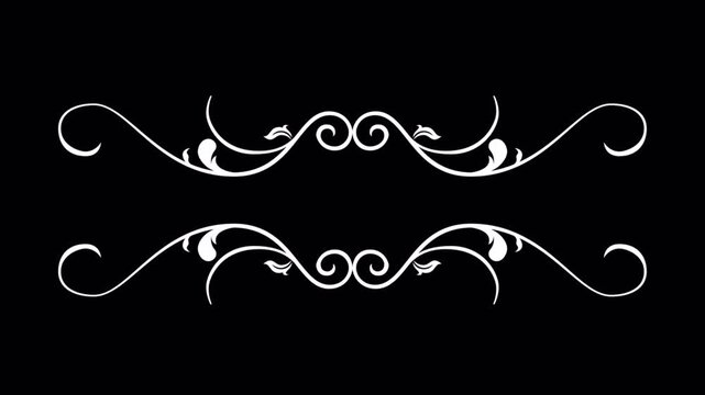 Elegant White Flourish Design on Black Background for Graphic Elements.