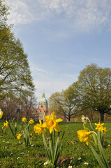 Fr&uuml;hling im Maschpark von Hannover mit Rathaus