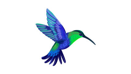 Obraz premium Flying Hummingbird Illustration with Vibrant Blue and Green Plumage Isolated on White Background