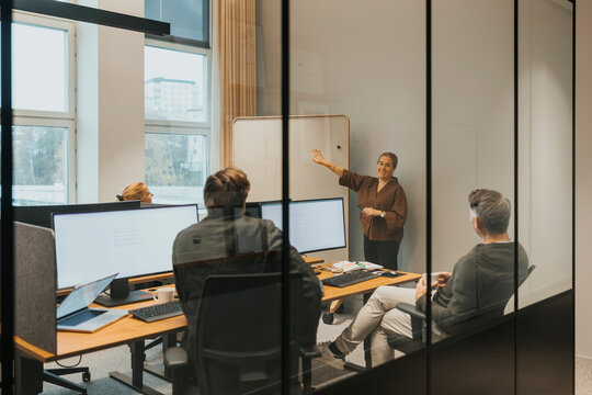 Group of male and female business professionals conducting presentation in office meeting room seen through glass