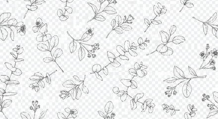Black and white floral botanical on transparent background leaves flowers