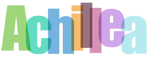 Colorful Achillea Text on White Background © Masud010