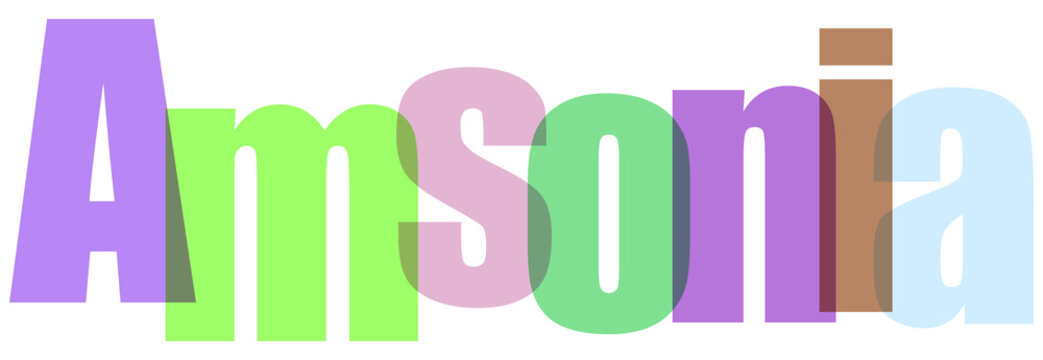Amsonia Text in Colorful Multicolored Letters