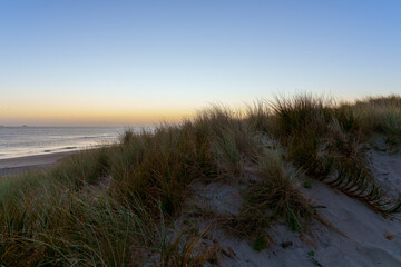 Blue hour sunrise over Papamoa Beach and sand dune vegetation