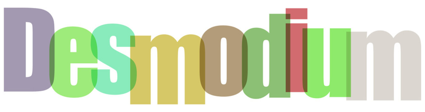 Desmodium Multicolored Text on White Background