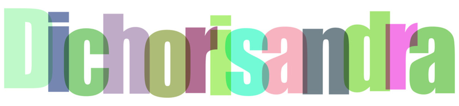 Colorful Dichorisandra Text on White Background