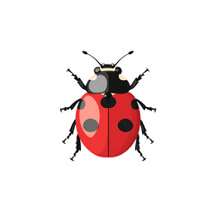 Adorable Ladybug Icon Vector Illustration Design