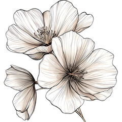 Fototapeta premium Exquisite Floral Sketch in Vector Art