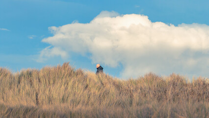 Obraz premium Winter Landscapes around Cresswell, Northumberland, February 2026
