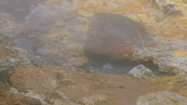 Hot water bubbling in a geothermal area with steaming fumaroles amidst colorful sulfurous rocks