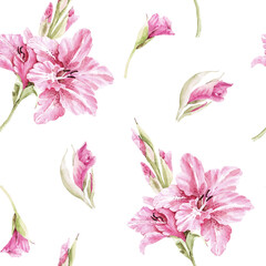 Seamless pattern with pink gladioli and buds on a white background. Hand-drawn watercolor illustration.