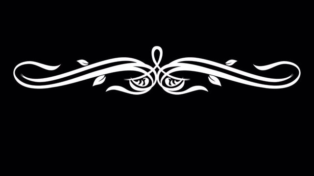 Elegant White Flourish Ornament on Black Background.