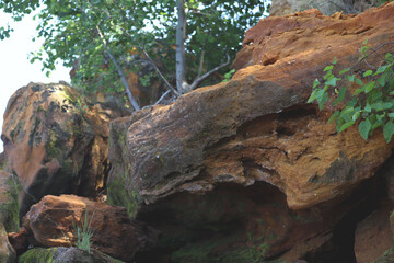 Fototapeta premium Textured rocks and green leaves in a natural setting
