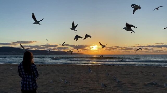 A girl dressed in a plaid shirt feeds birds by the sea at sunrise in Sunny Beach, Bulgaria. Stand with your back to the camera. 