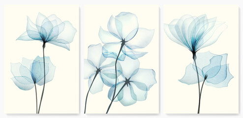 Floral cards with transparent flowers in a watercolor style. A botanical set for decor, wallpaper, textiles, prints, posters, and interior design. © VectorART