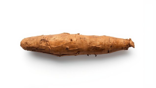 Brown chicory root against a white background