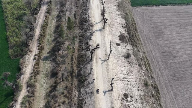 aerial drone footage of a Farmland landscape featuring dirt path separating green crops from a barren area in a rural setting on a sunny day High quality drone 4k footage