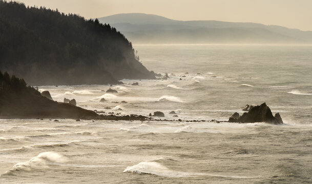 USA, CA, Eureka.  Rugged northern coast of California.