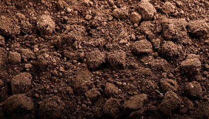 fertile soil background