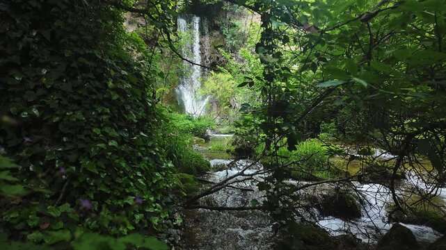Lisine Waterfall also known as Veliki Buk cascading down rocky cliff into emerald pool in eastern Serbia. Powerful freshwater flow surrounded by lush green vegetation in natural canyon landscape