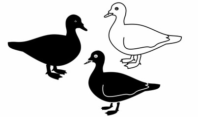 Obraz premium Muscovy duck icon set. vector illustration Cairina moschata in line, outline, silhouette styles. isolated white background