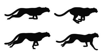 Four cheetahs in dynamic poses presented as a striking silhouette © MK2.00