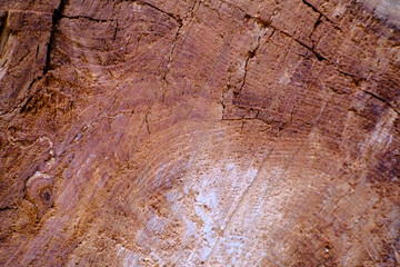 Fototapeta premium Old woden background texture with natural pattern 