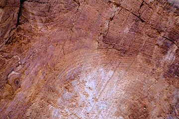 Fototapeta premium Old woden background texture with natural pattern 