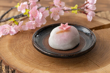 春の和菓子