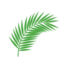 Obraz premium Green Palm Leaf Vector Clipart Isolated on White Background for Tropical Design